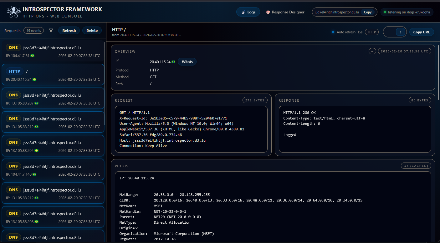 Introspector HTTP and DNS Callback server